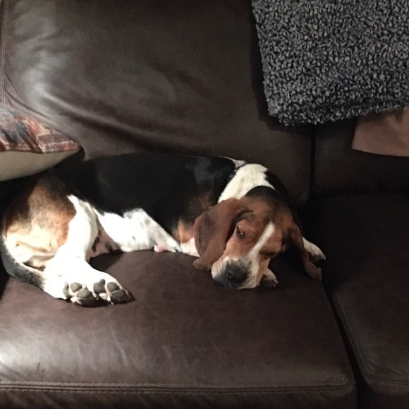 ➕Meet your Posher, Seana ➕ - Picture 2 of 7